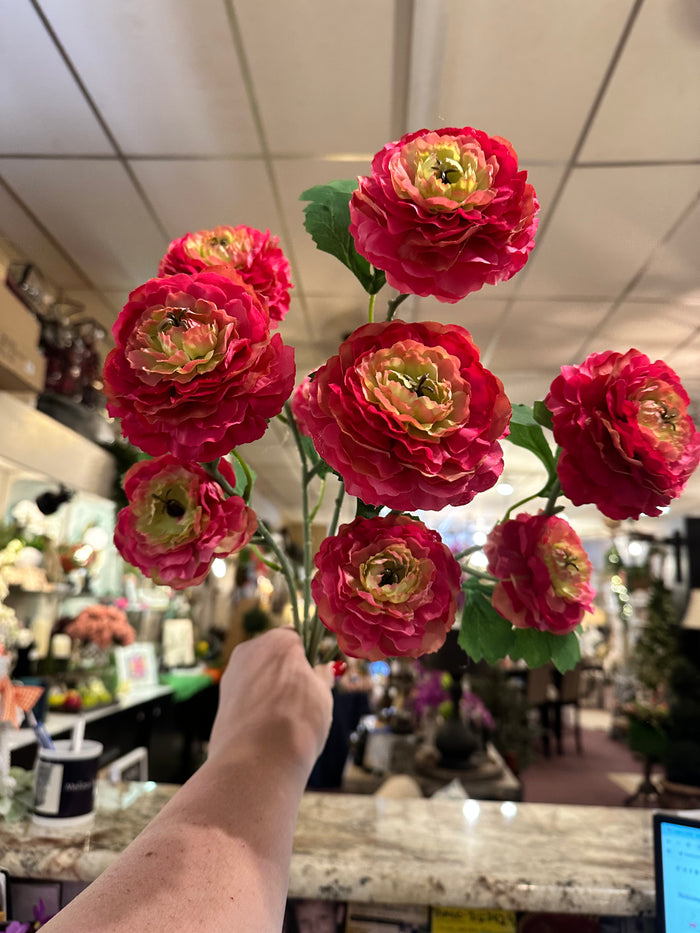 Hot Pink & Coral Ruffled Ranunculus Bush