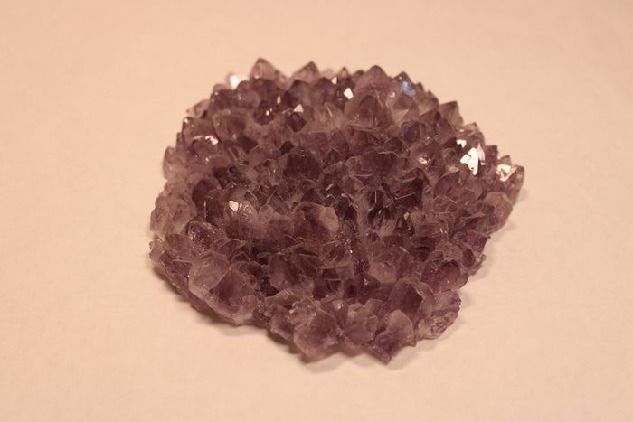 Amethyst Rosette (Brazil)