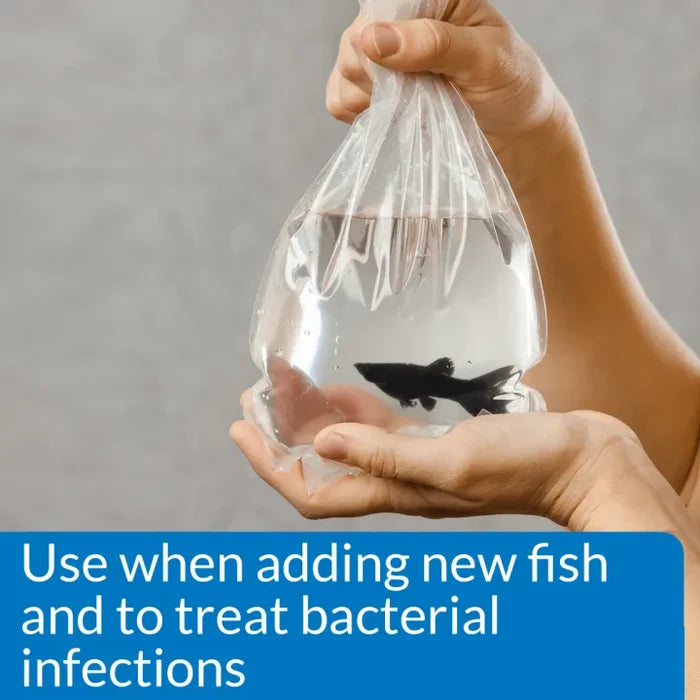 API API MELAFIX Freshwater Fish Bacterial Infection Remedy