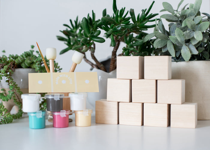 Basic Toymaker Kit