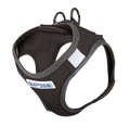 Bay Dog Liberty Bay Dog Harness