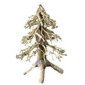 Handcrafted Aquarium Bonsai Christmas Trees - A Unique Underwater Wonderland - FISH HUT AQUA AND PET SUPPLIES - #location#