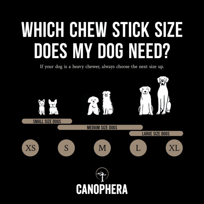Canophera Sheep Horn Chews for Dogs