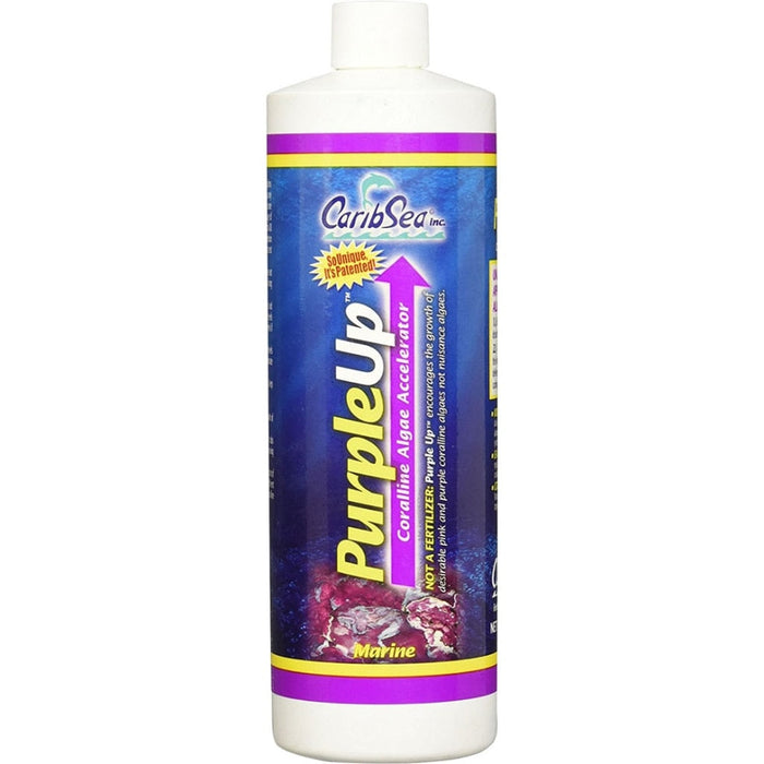 CARIBSEA PURPLEUP CORALLINE ALGAE ACCELERATOR