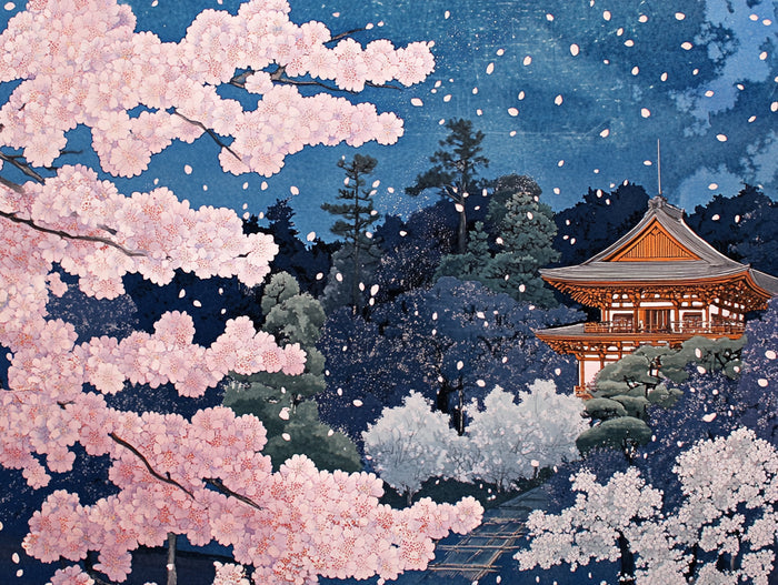 Cherry Blossom Rain in Kyoto