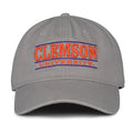 Clemson Hat