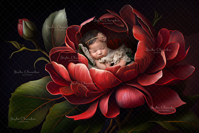 Digital  Backdrop Ai generated  and hand painting