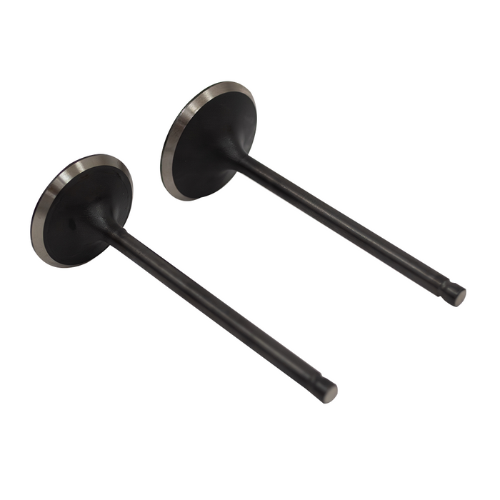 DuroMax DuroMax Replacement Generator Valves Set - DMXP-13-006-VaS