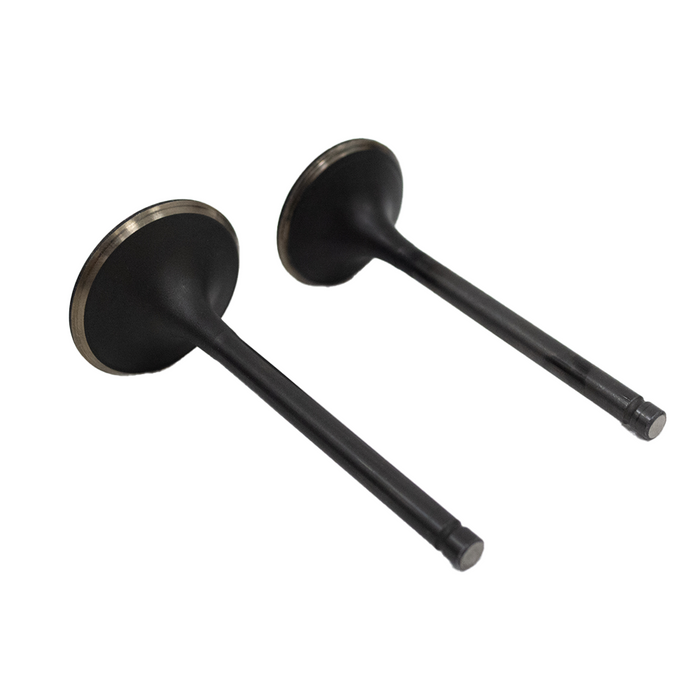 DuroMax DuroMax Replacement Generator Valves Set - DMXP-15-006-VAS