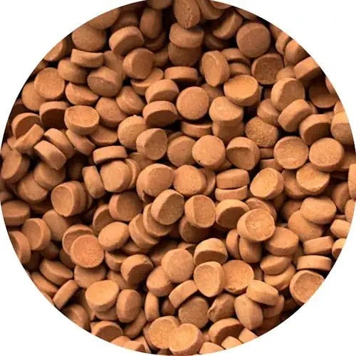 Dymax Jumbo Achieve 160g - FISH HUT AQUA AND PET SUPPLIES - #location#