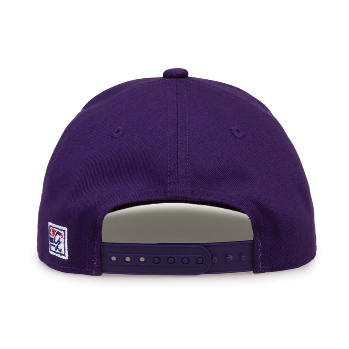 East Carolina Retro Circle snapback hat in purple, straight rear view showing the adjustable snap closure