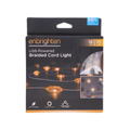 Enbrighten 16' 10 LIGHTS USB-POWERED