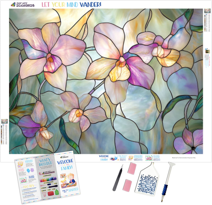 Ethereal Butterfly Orchid Window