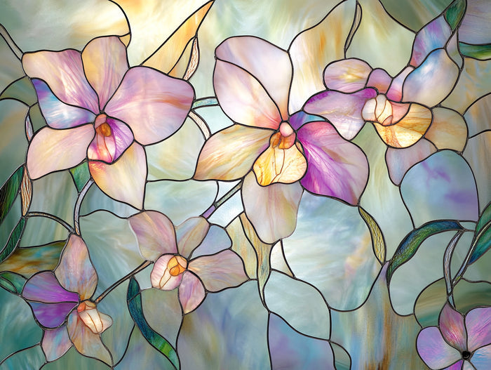 Ethereal Butterfly Orchid Window