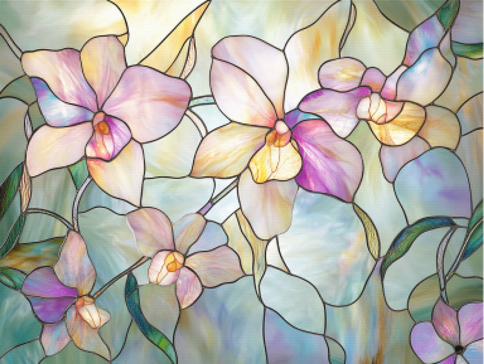 Ethereal Butterfly Orchid Window