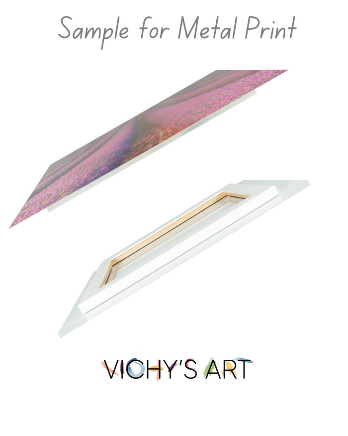 Purple Wings - Art Prints - Vichy's Art