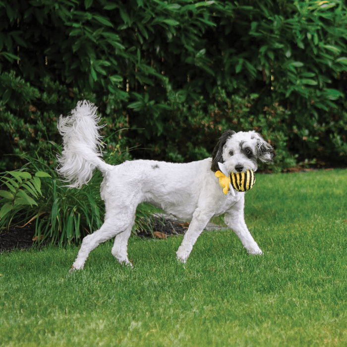 fabdog® Bumble Bee faball® Toys