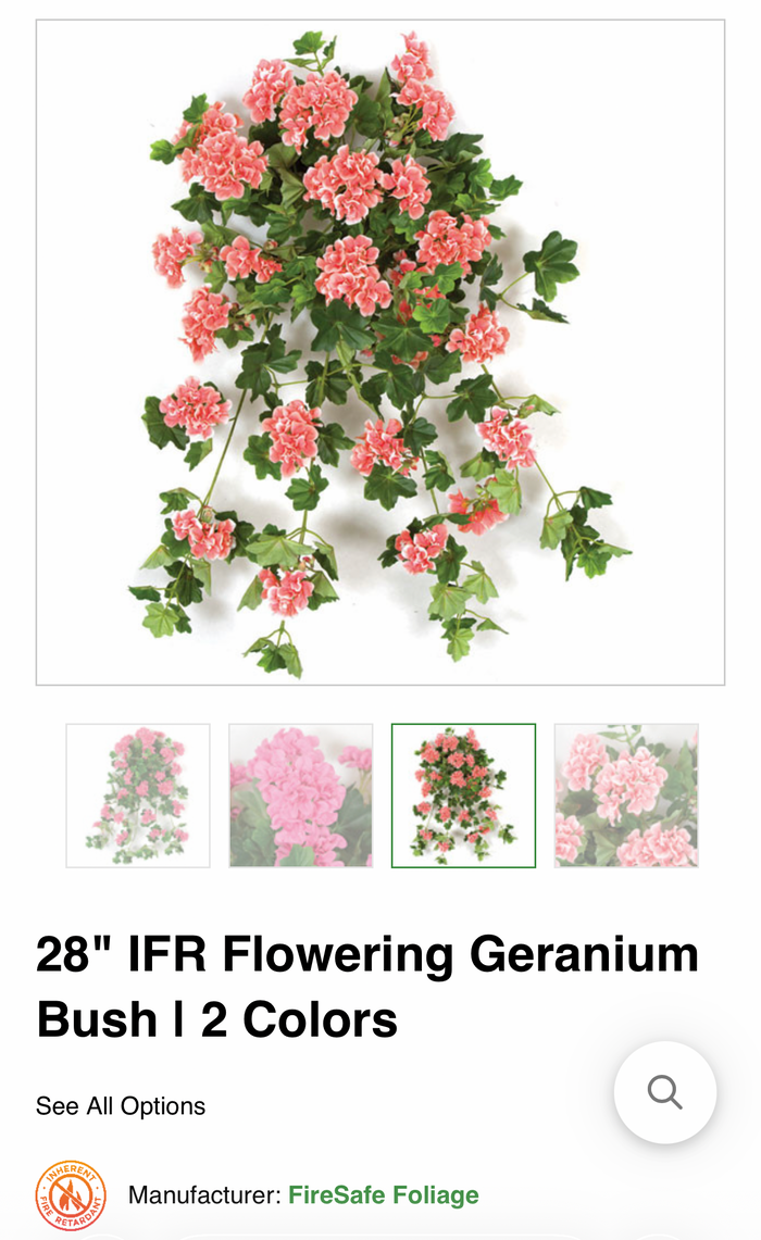 Fire Retardant Rose Pink Geranium Bush