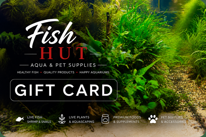 Fish Hut’s Gift Card