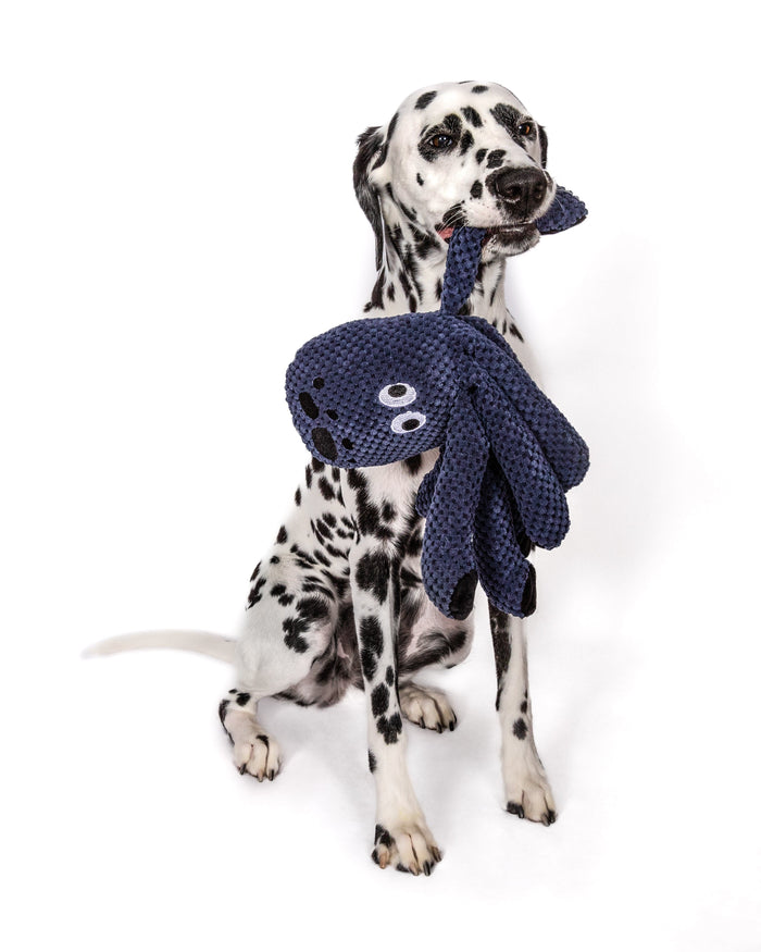 fabdog® Floppy Octopus Toys