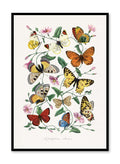 Flying Petals, Poster
