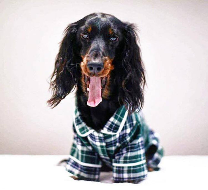 fabdog® Green Flannel Pajamas Apparel