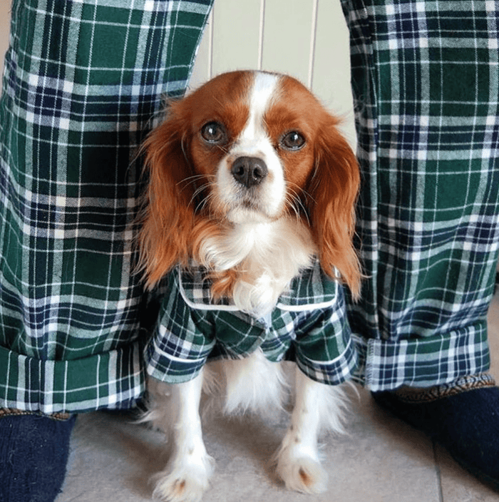 fabdog® Green Plaid Flannel Matching Human Pajamas Human