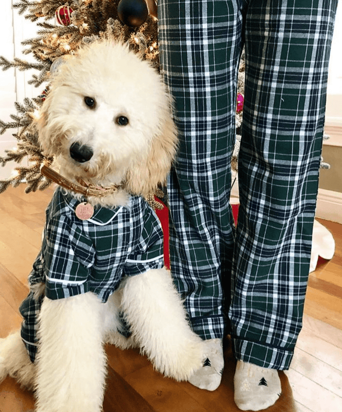 fabdog® Green Plaid Flannel Matching Human Pajamas Human