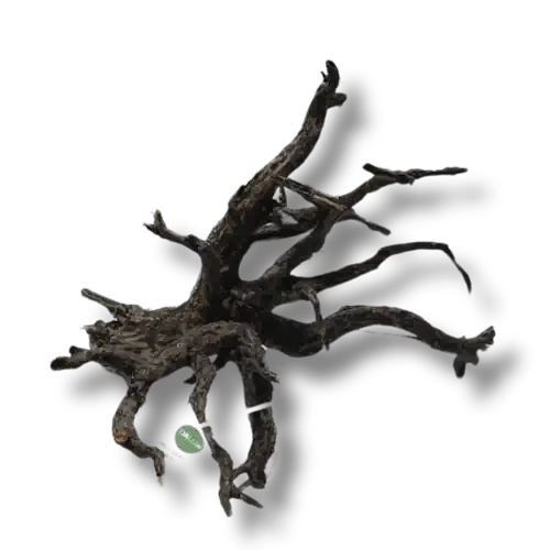 HAUNTED FOREST DRIFTWOOD - FISH HUT AQUA AND PET SUPPLIES - #location#