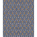 Hicks Hexagon