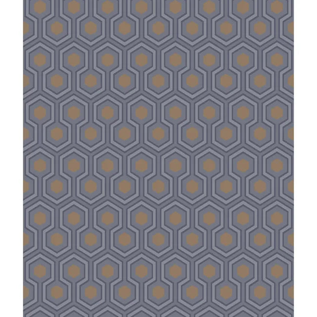 Hicks Hexagon
