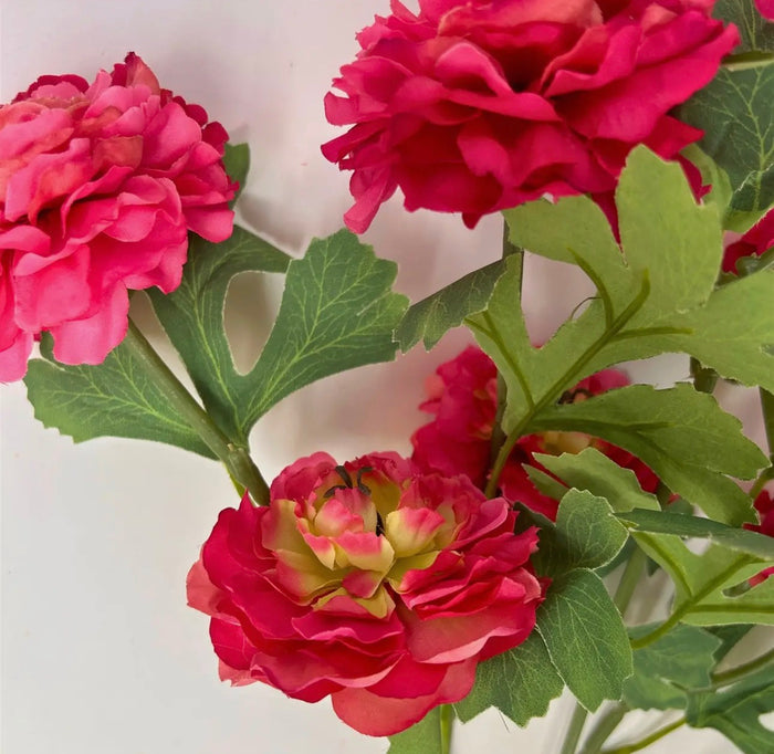 Hot Pink & Coral Ruffled Ranunculus Bush
