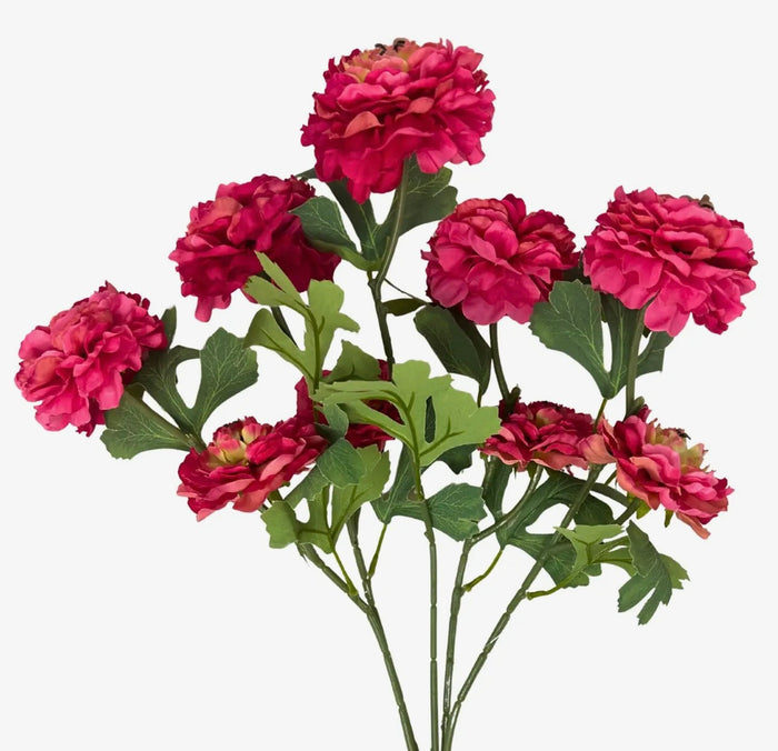Hot Pink & Coral Ruffled Ranunculus Bush