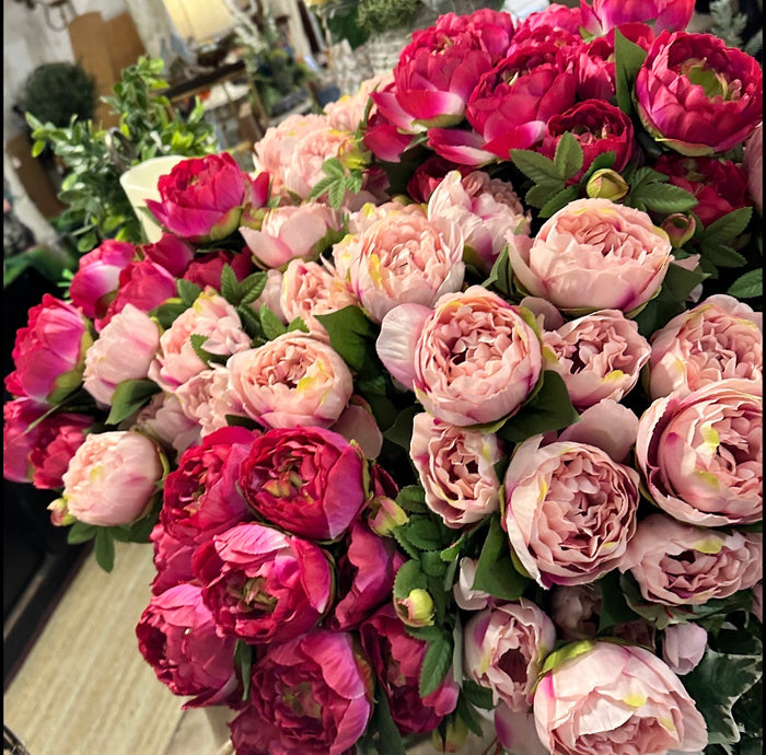 Hot Pink Peony Bush 16 heads