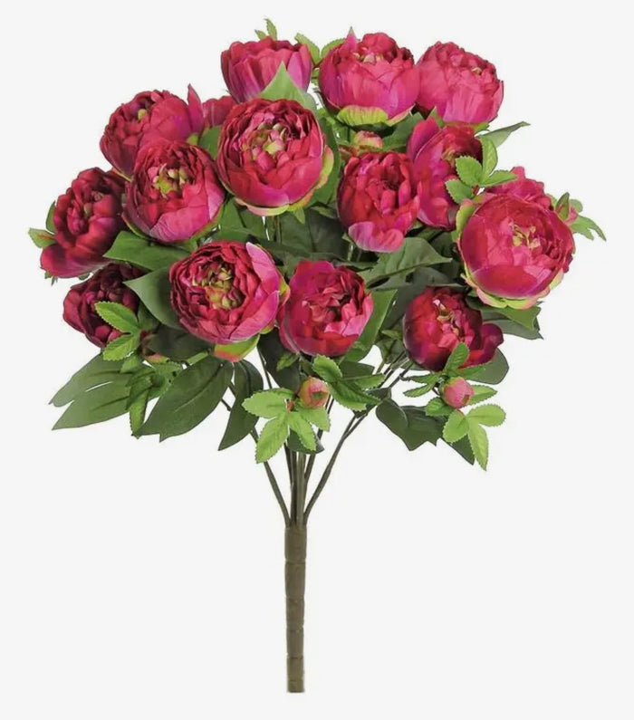 Hot Pink Peony Bush 16 heads