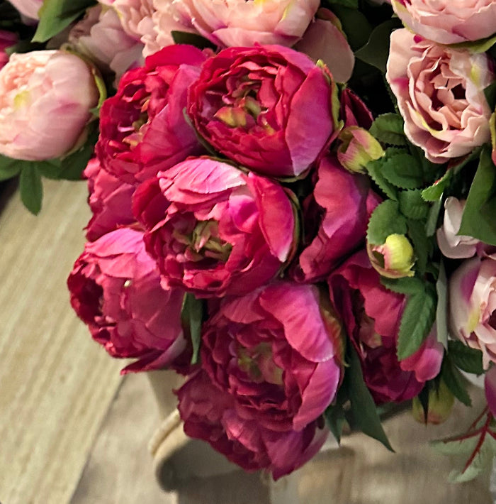 Hot Pink Peony Bush 16 heads