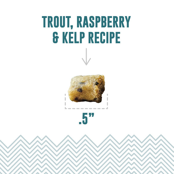 Icelandic+ Trout, Raspberry & Kelp Recipe Soft & Chewy Bites for Cats