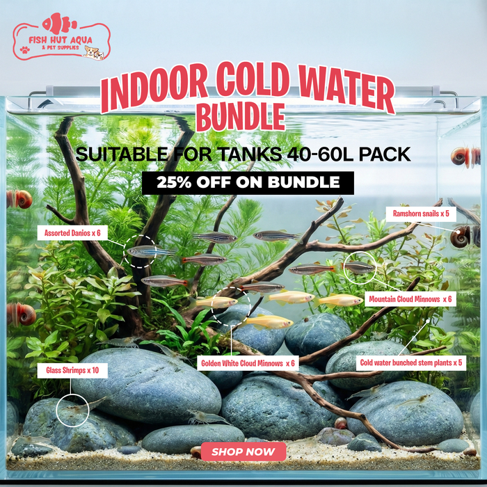 Indoor Cold Water Aquarium Bundle | No Heater Required - 25% OFF