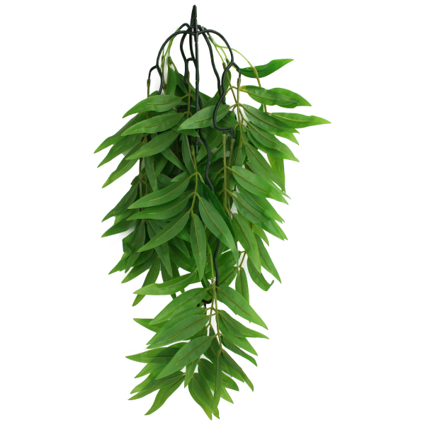 Komodo Climbing Plant Bamboo