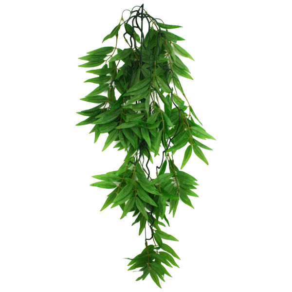 Komodo Climbing Plant Bamboo