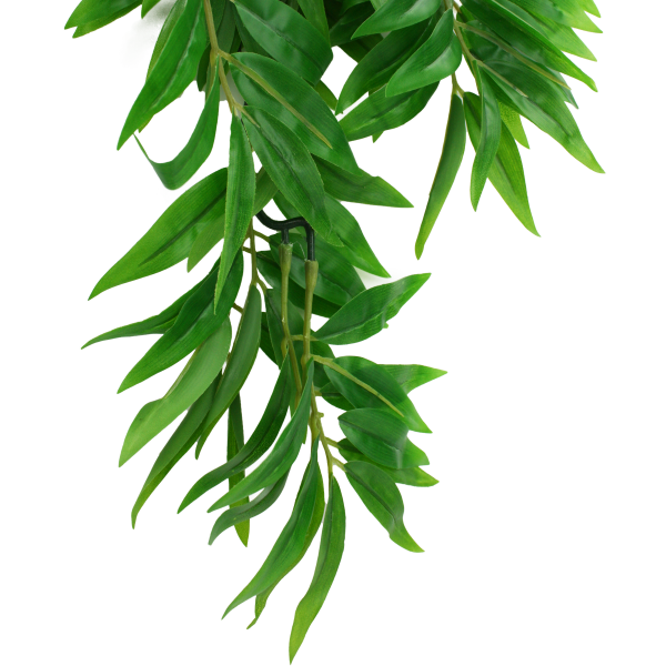 Komodo Climbing Plant Bamboo