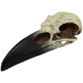 Komodo Raven Skull Hideout