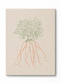 Line Drawn Carrots, Canvas