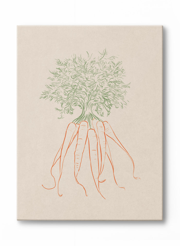 Line Drawn Carrots, Canvas