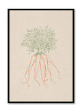 Line Drawn Carrots, Poster