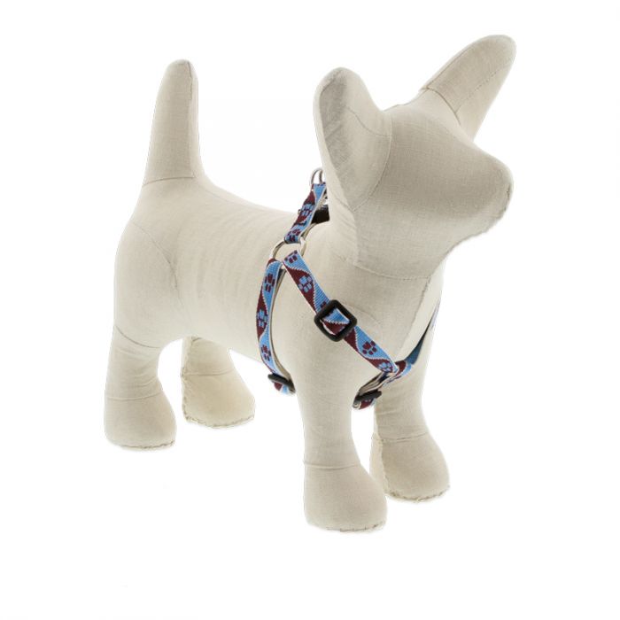 Lupine Pet Original Designs Dog Collar