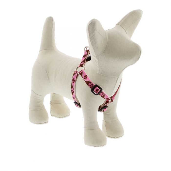 Lupine Pet Original Designs Dog Collar