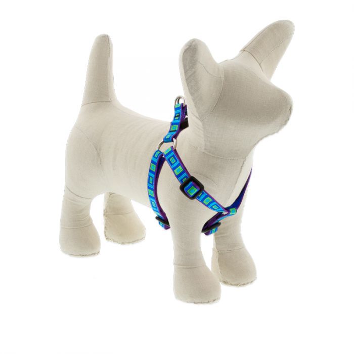 Lupine Pet Original Designs Dog Collar