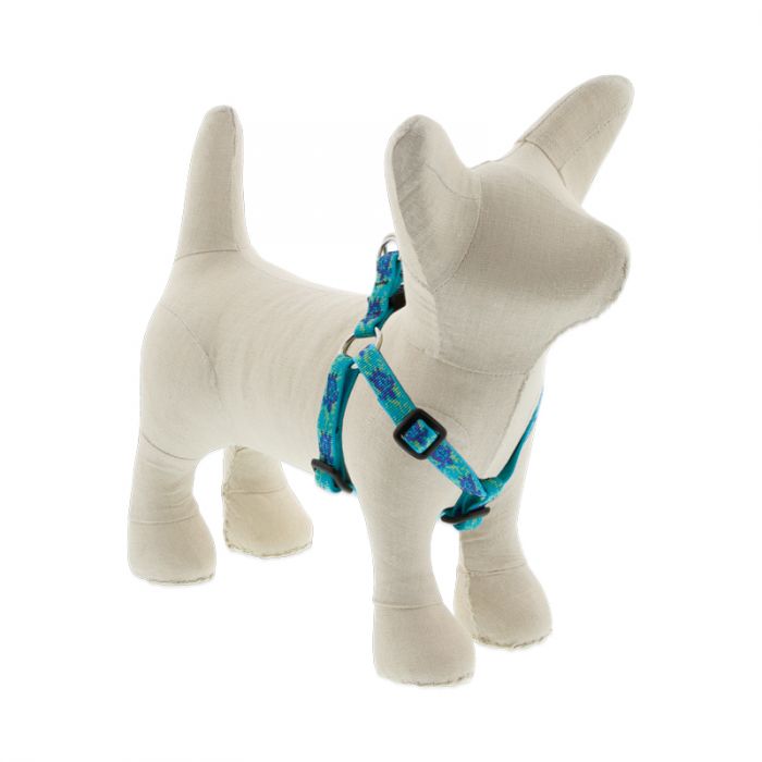 Lupine Pet Original Designs Dog Collar