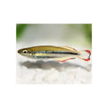 MADAGASCAR RAINBOW - FISH HUT AQUA AND PET SUPPLIES - #location#